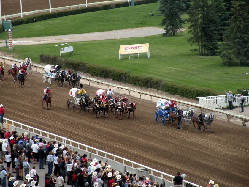 Calgary Stampede